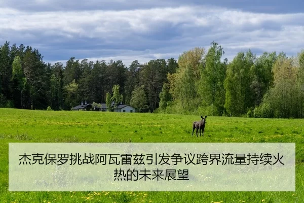 杰克保罗挑战阿瓦雷兹引发争议跨界流量持续火热的未来展望