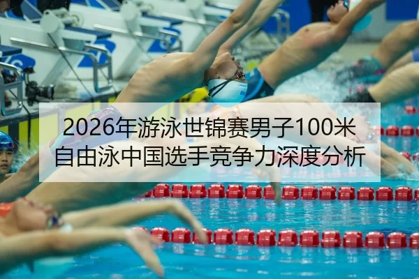 nian-you-yong-shi-jin-sai-nan-zi-mi-zi-you-yong-zhong-guo-xuan-shou-jing-zheng-li-shen-du-fen-xi-2-536.jpg