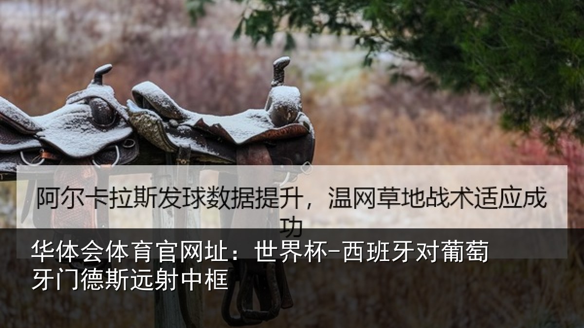 华体会体育官网址：世界杯-西班牙对葡萄牙门德斯远射中框
