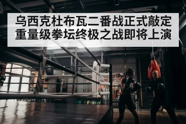 boxer training in gym